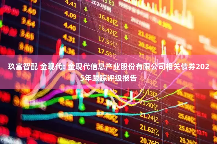 玖富智配 金现代: 金现代信息产业股份有限公司相关债券2025年跟踪评级报告