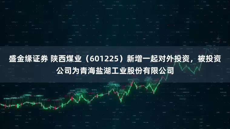 盛金缘证券 陕西煤业（601225）新增一起对外投资，被投资公司为青海盐湖工业股份有限公司